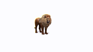 Gif animé lion attaque